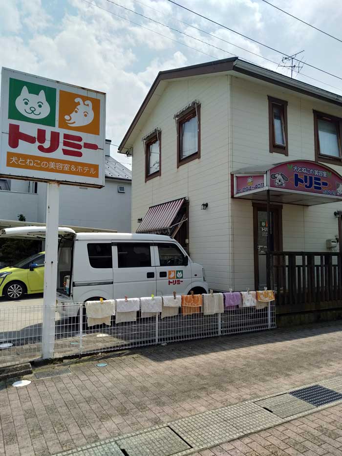 犬とねこの美容室 トリミー 野々市市プレミアム商品券 犬とねこの美容室 トリミー 野々市市プレミアム商品券